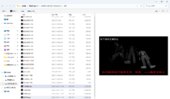 ZAMV 3.5 Chinese Translation